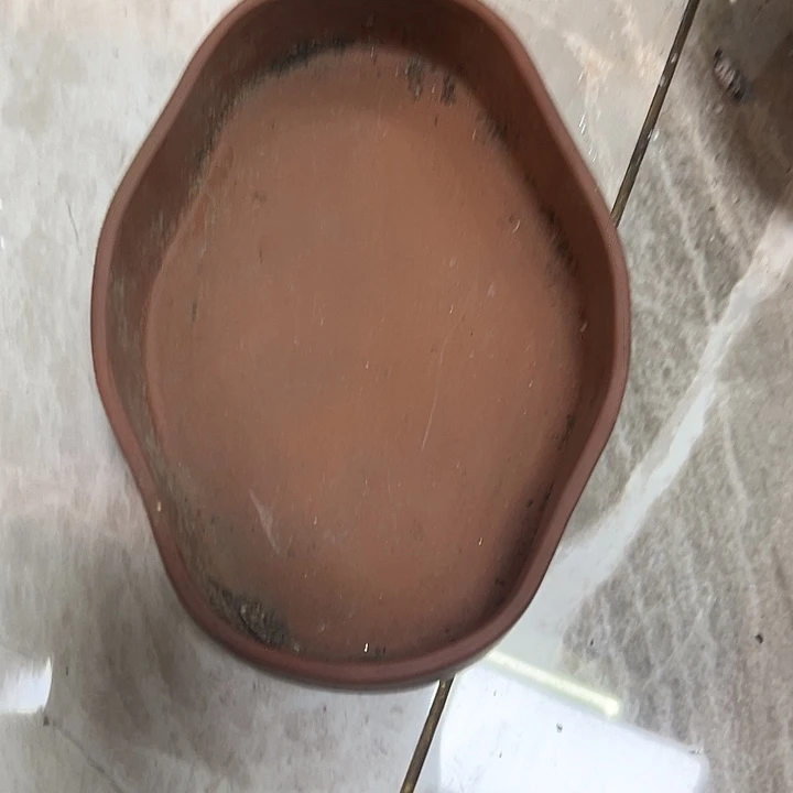 涛***滔老物件老物件我的