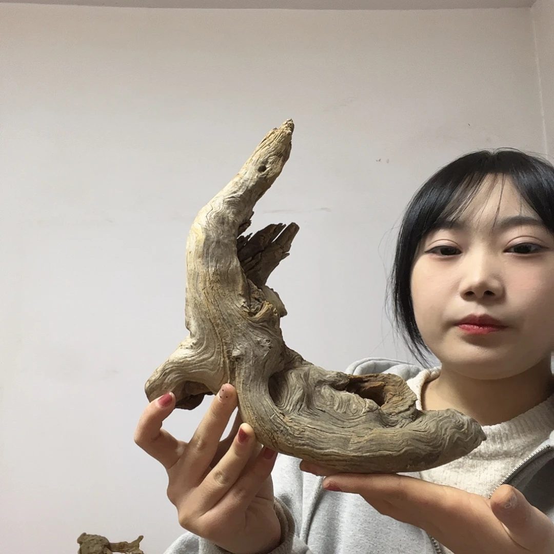 柏木（崖柏）好想去看看这个电影的