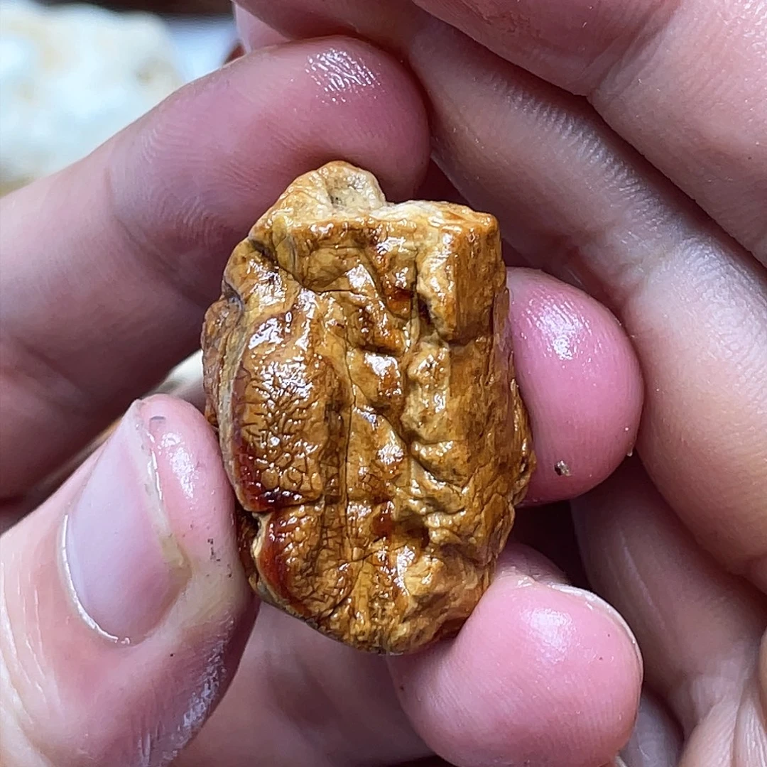 定制琥珀未镶嵌?定制