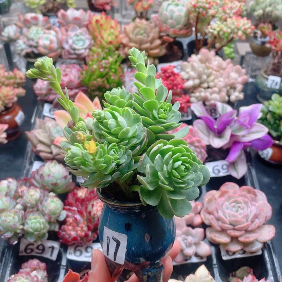 无铅玻璃青*花器花器花器花器花器