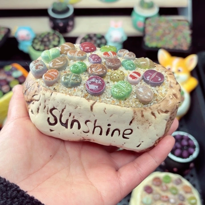 534零下地区记得拍保温箱