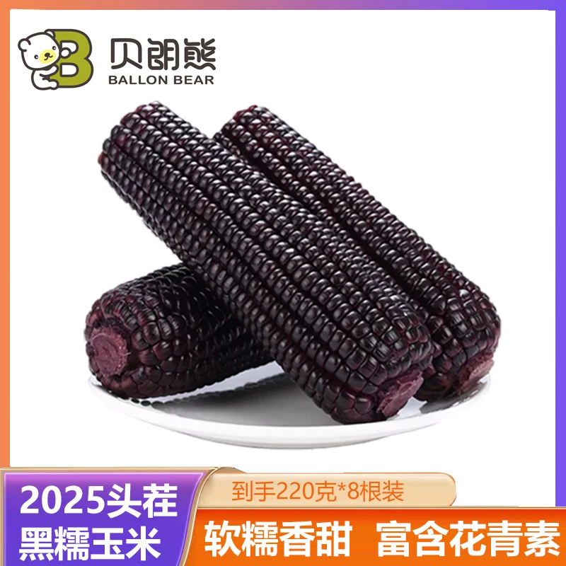 【贝朗熊】山西黑糯玉米2025年头茬糯玉米富含花青素8根装【试吃2根】