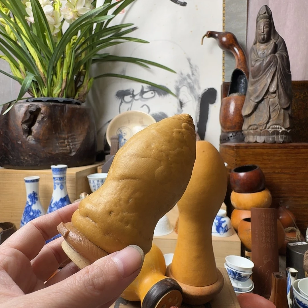 陶杯子哈哈哈哈哈哈哈哈哈哈哈不好