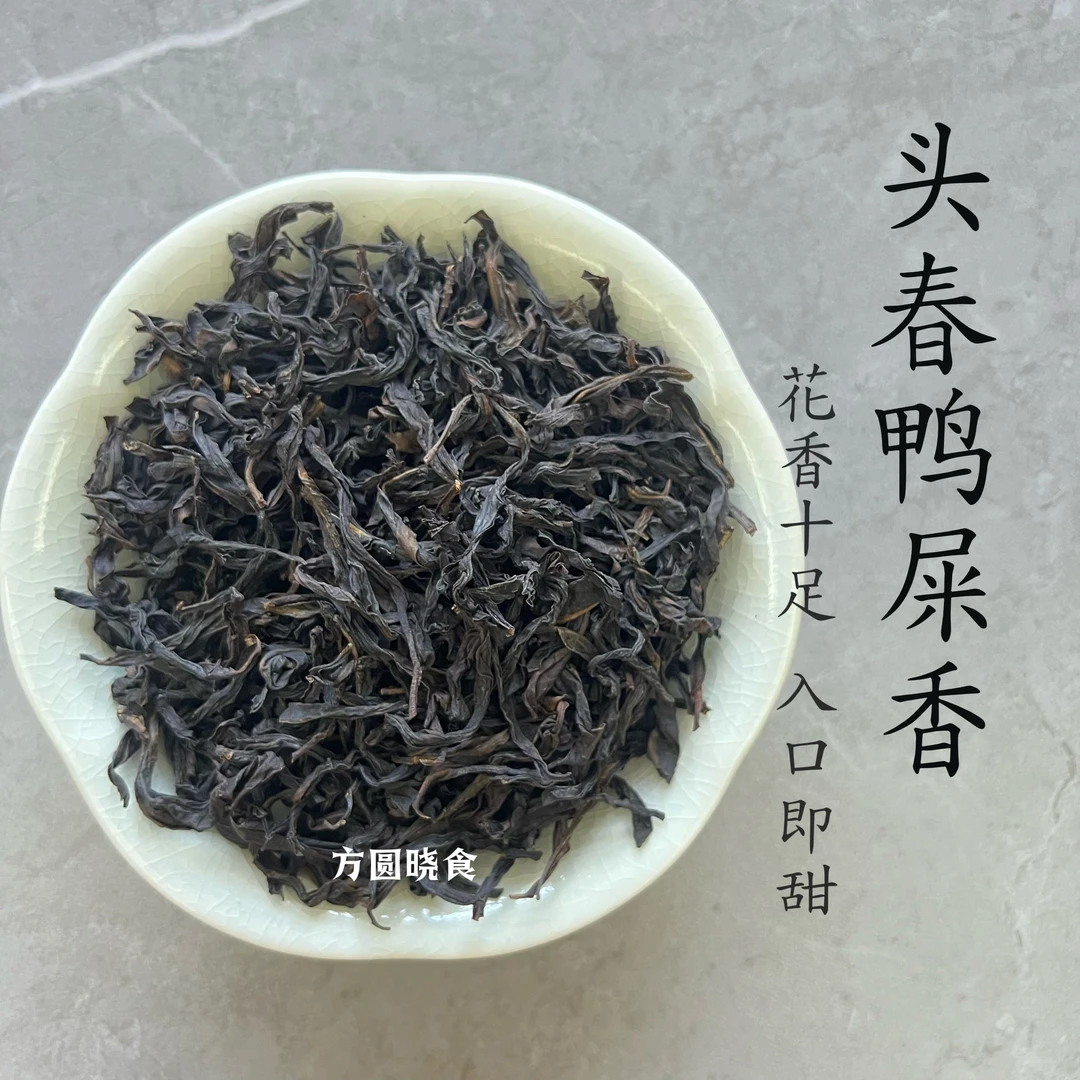 潮州凤凰单枞茶头春鸭屎香花香十足入口即甜