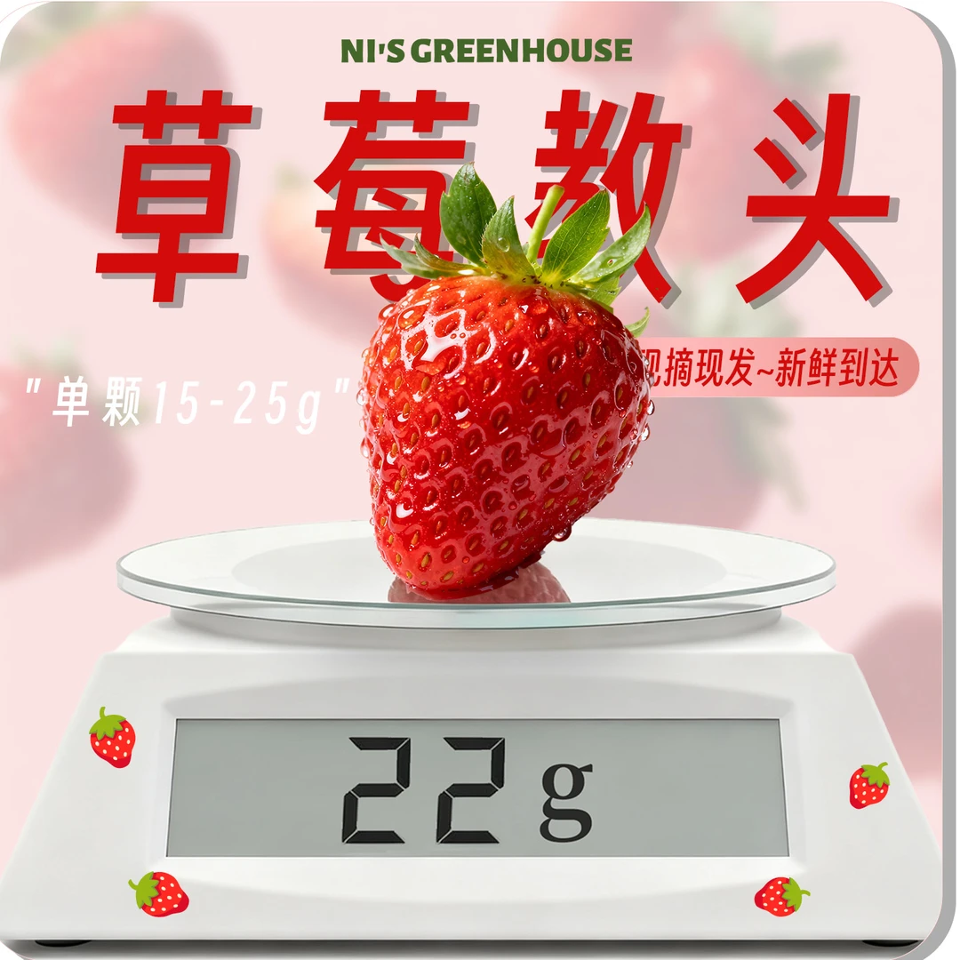 现摘现发【中果-草莓教头25g】二斤丨桓仁小倪家丨自家大棚红颜草莓辽宁省