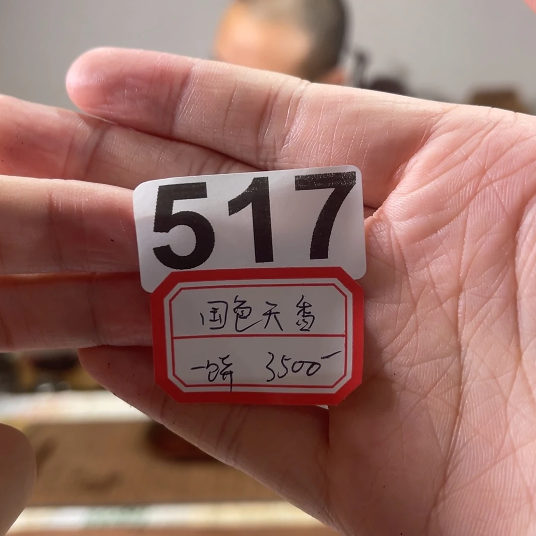 517…………………………………………