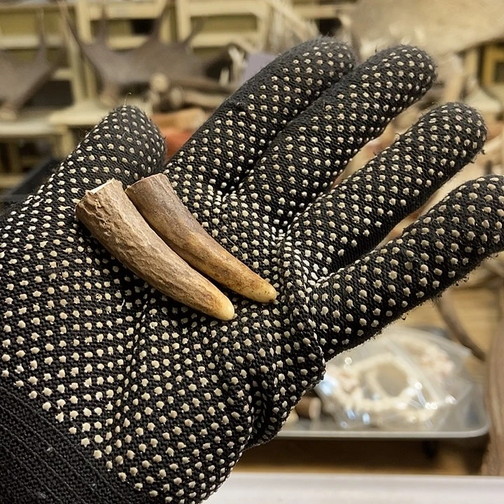 小***儿大叶紫檀（黑酸枝木类）