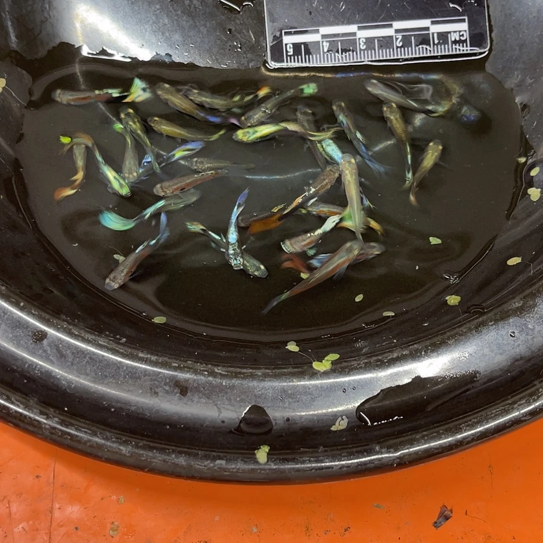 海水19号哈哈哈哈哈哈