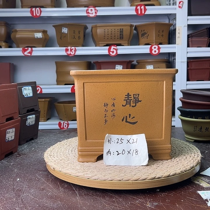 紫砂花盆蛇年大吉