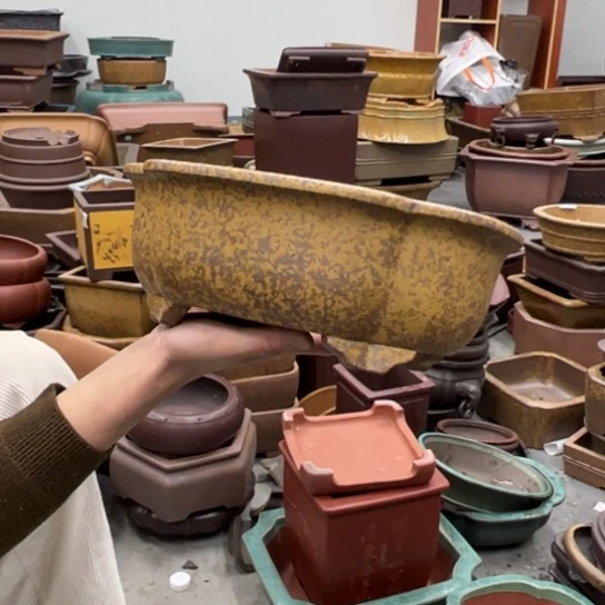 紫砂花盆中香薰装饰