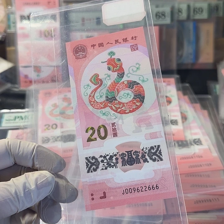 塑料009622666龙珠豹子666单张