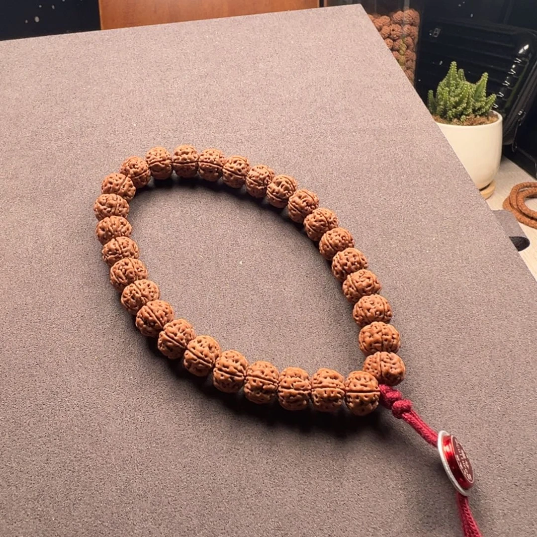 手串金刚菩提勿里达老树王手持