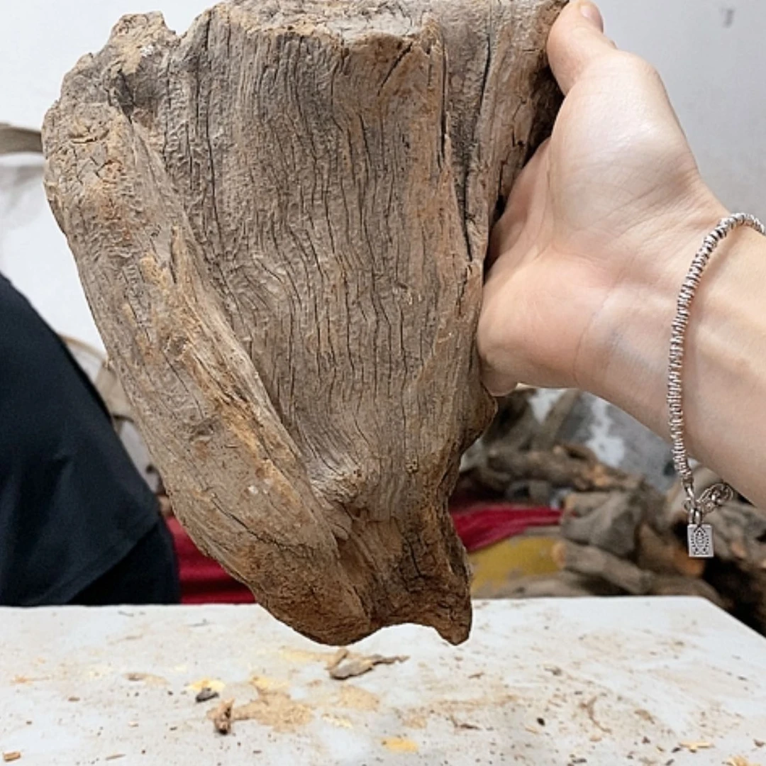 【闪购商品】柏木利我们都在努力着改变自己和