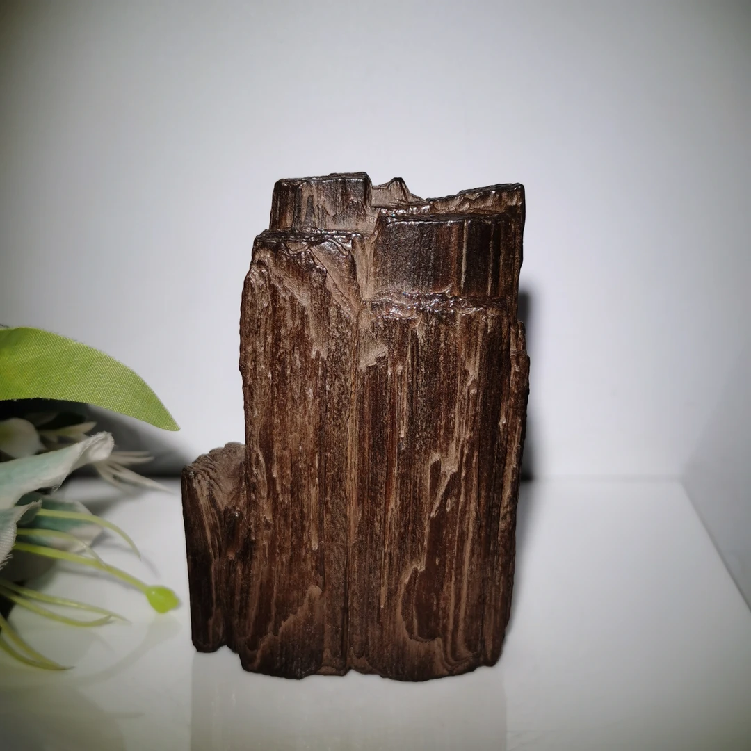 精品戈壁树皮木化石摆件…浮雕原皮层纹精美石化好…文房案头石…9cm