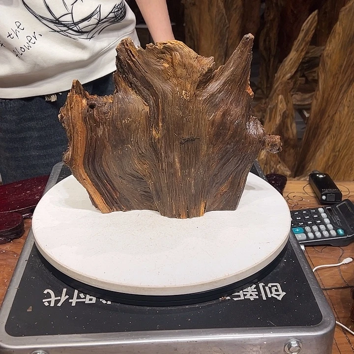 松木（琥珀木）枣****姐