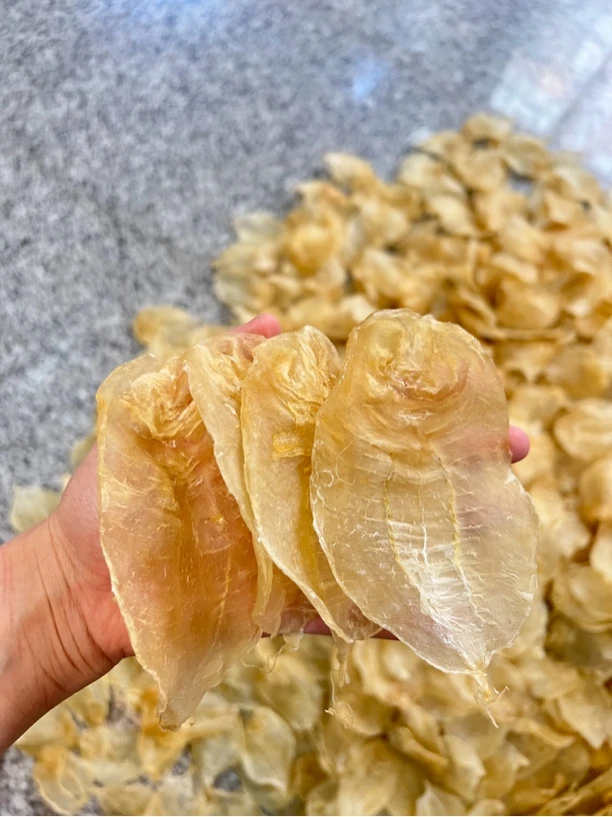 鱼胶港版白花胶43头高品质花胶