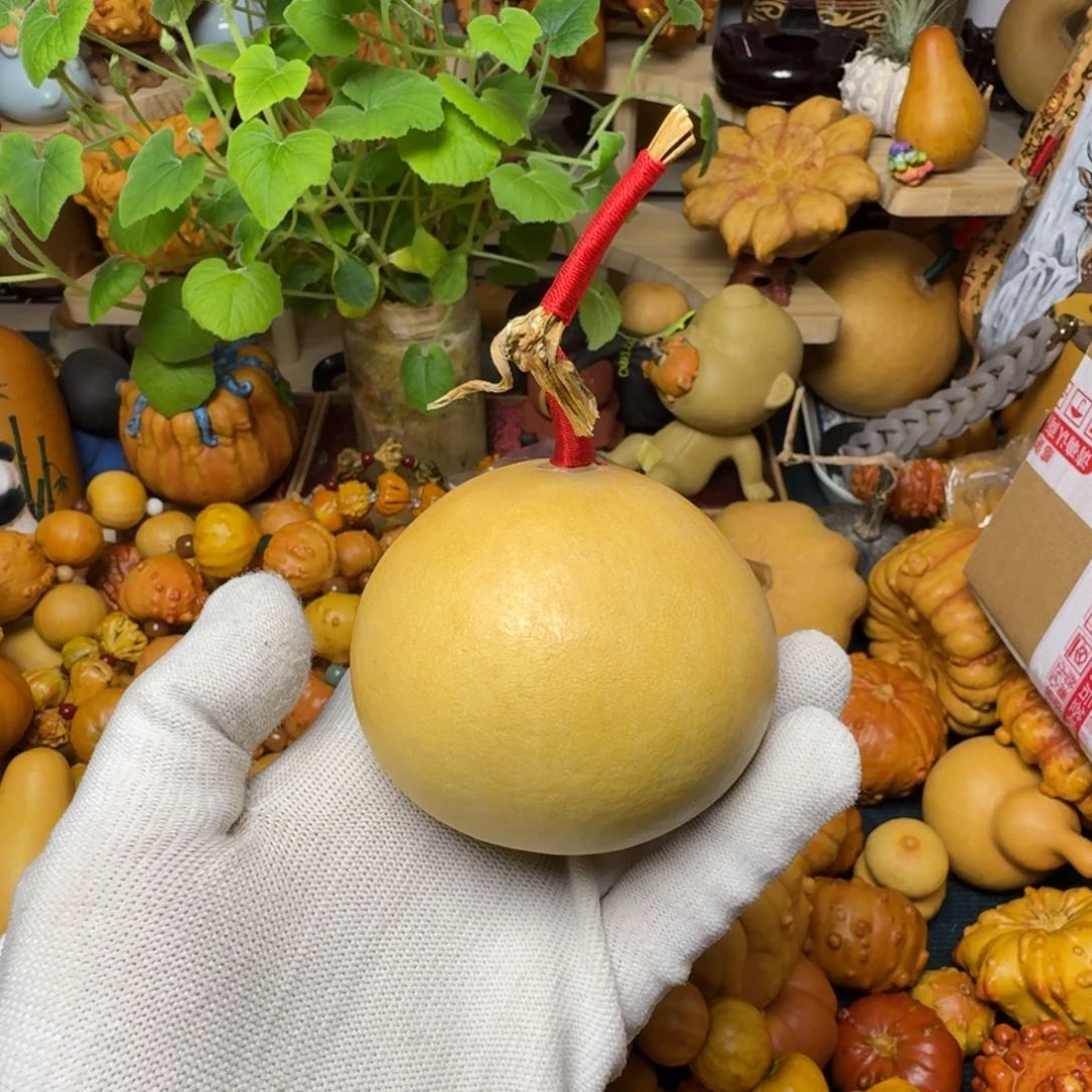 A**A特价葫芦不退不换