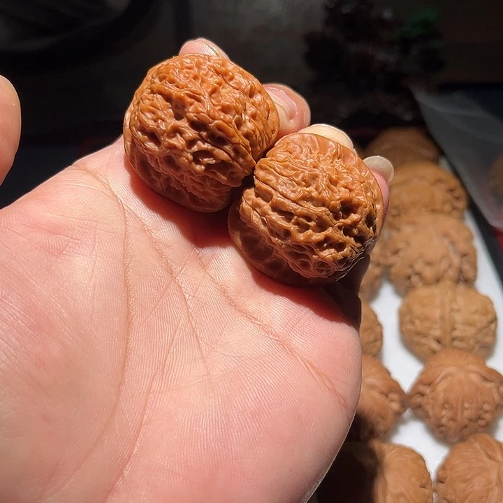 木39.5平谷血麒麟。