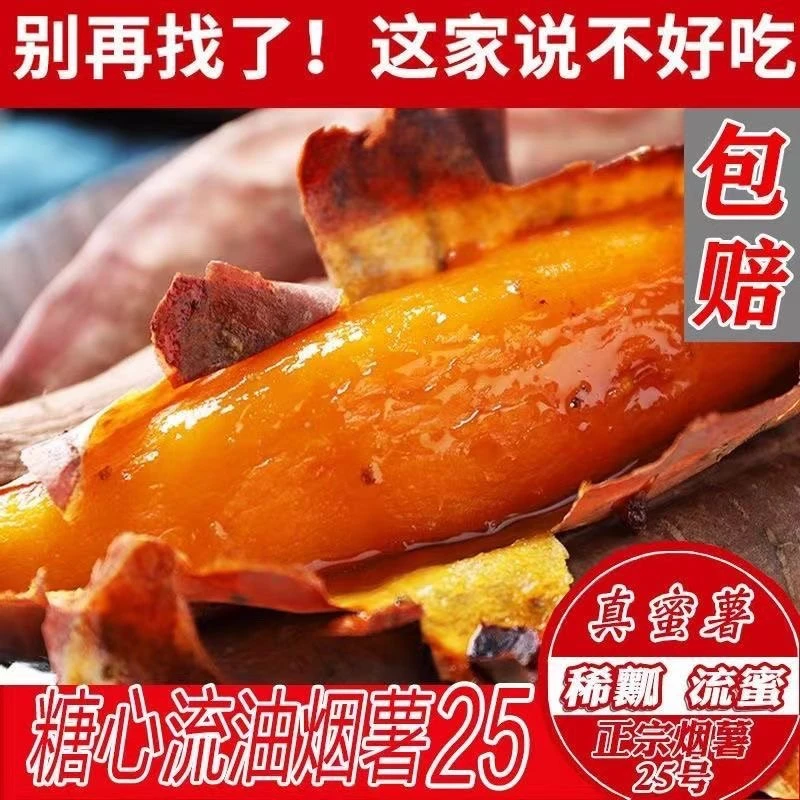 山东特产烟薯25号新鲜糖心蜜薯沙地种植软糯香甜流油烤地瓜