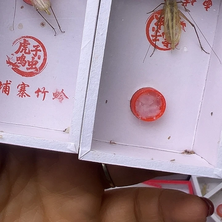2***3哈哈哈哈哈哈哈哈哈哈哈哈