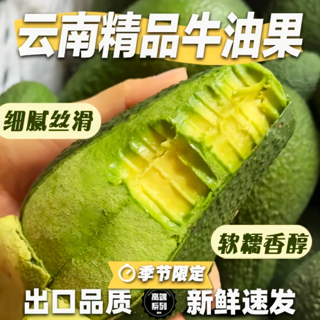 正宗云南品克顿牛油果树熟现摘精品鳄梨枚枚超大果现采现发