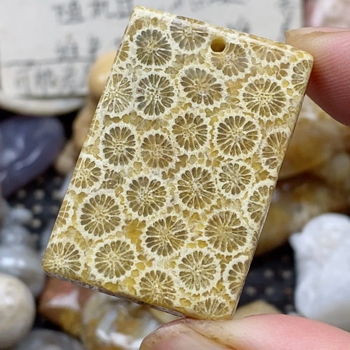 颈饰未镶嵌硅化珊瑚(珊瑚玉)有瑕
