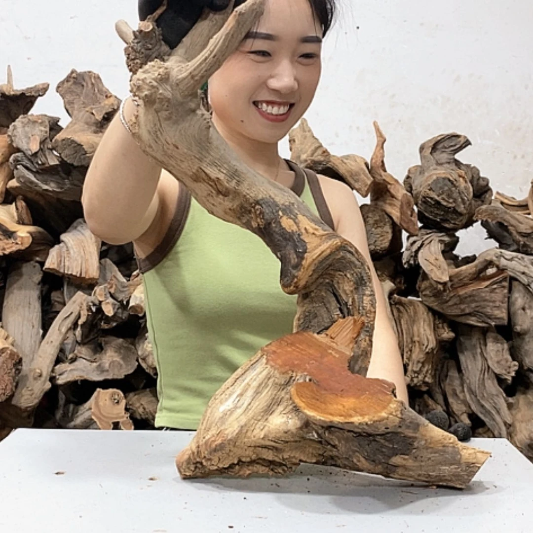 【闪购商品】柏木发**好我们都是好孩子