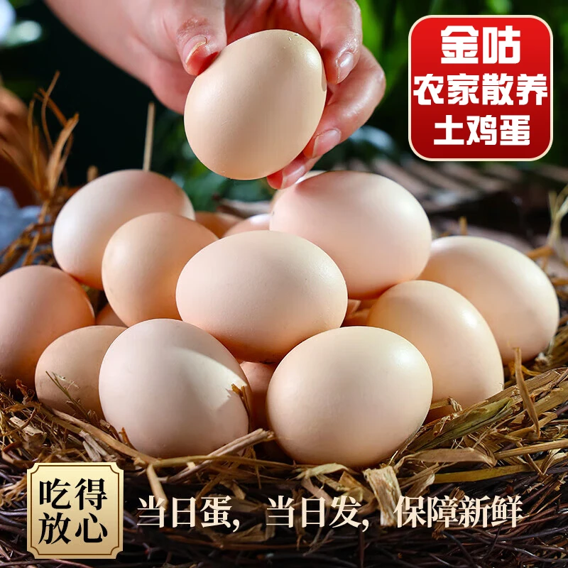 【二十枚】农家散养新鲜土鸡蛋40g一枚营养更美味！