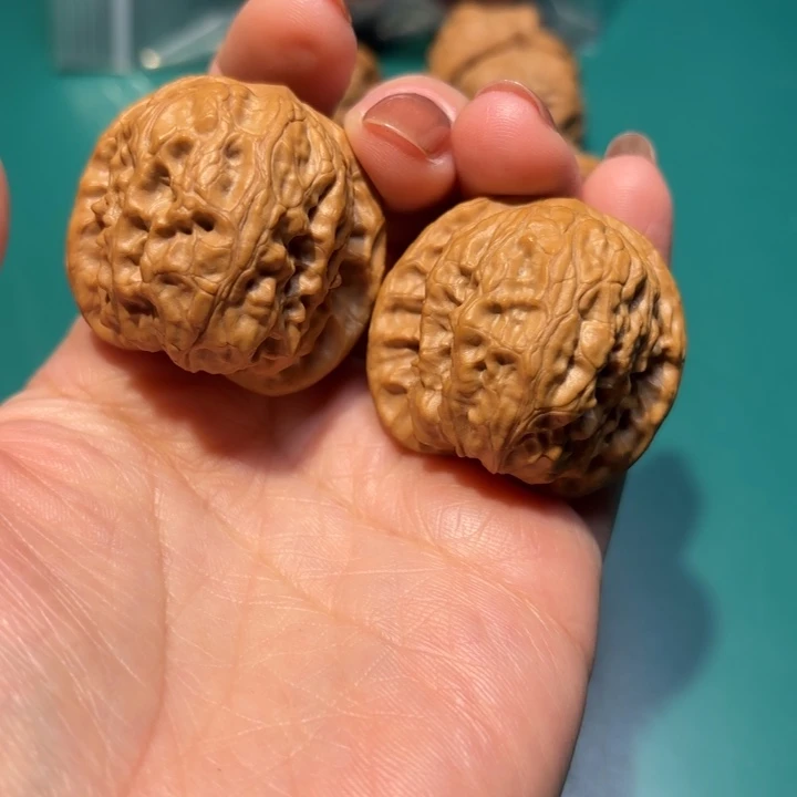 核桃37尺寸昌闷野狼