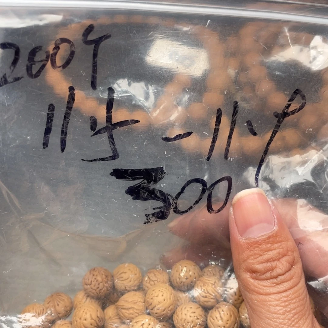 【闪购商品】月***泉散子批发100米