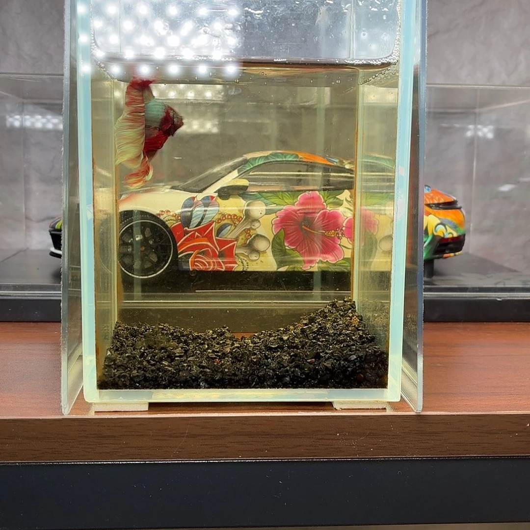 斗鱼彩金电摇半月