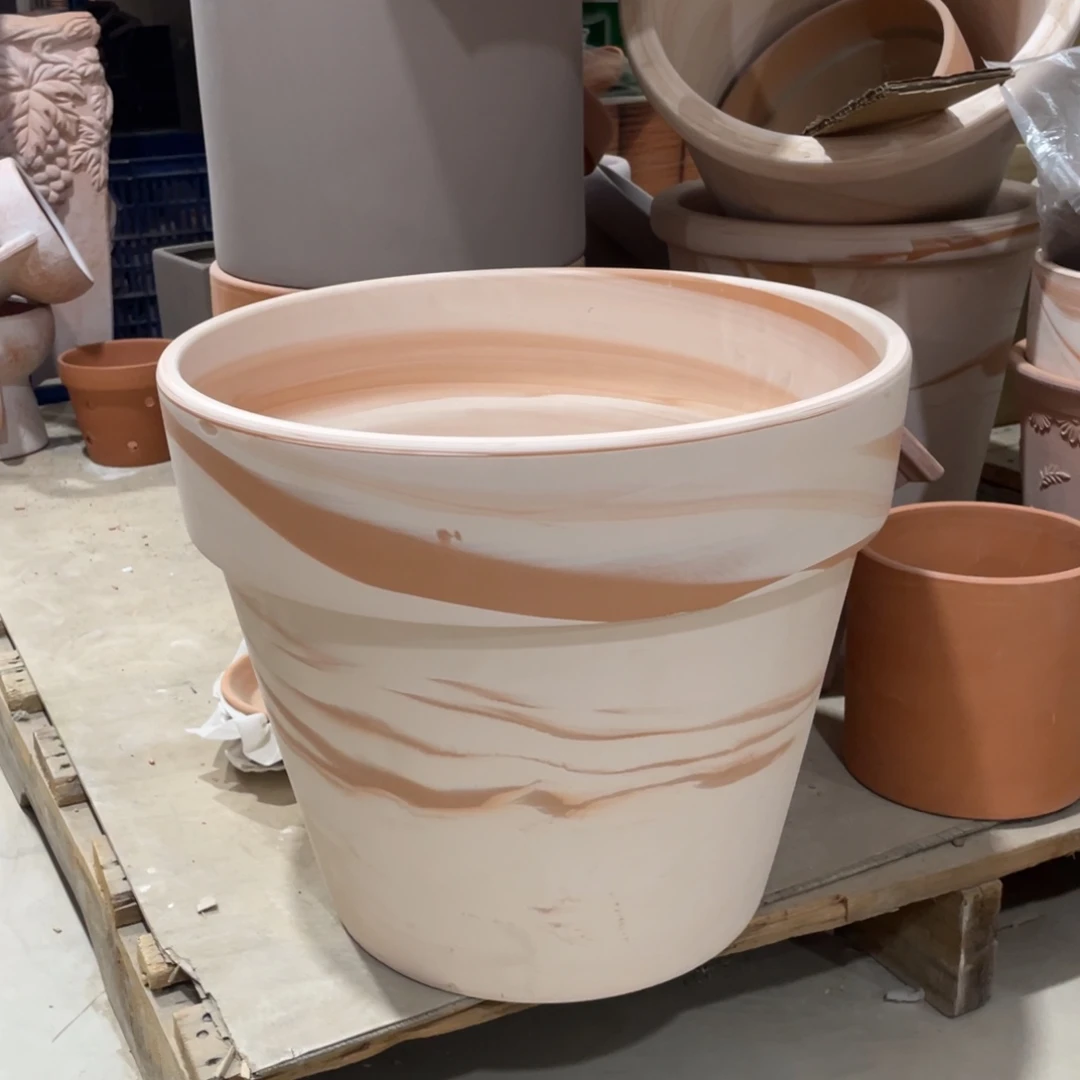 口35×29        玛奇朵发1