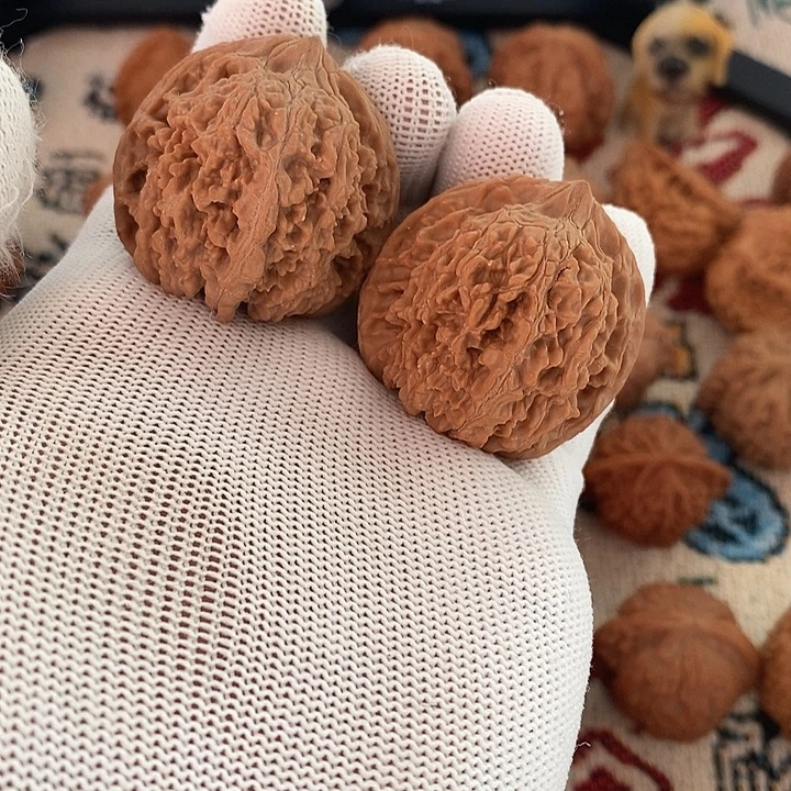 文玩核桃把件满天星