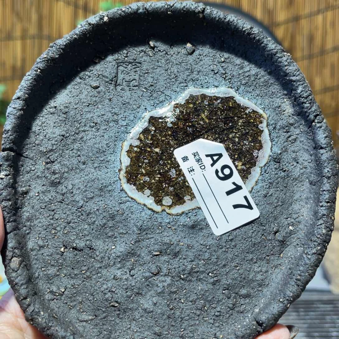 木村信弘柴烧保平