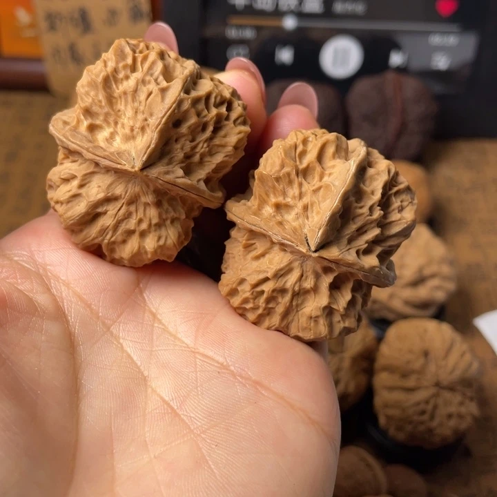 如图所示一物一拍编号22