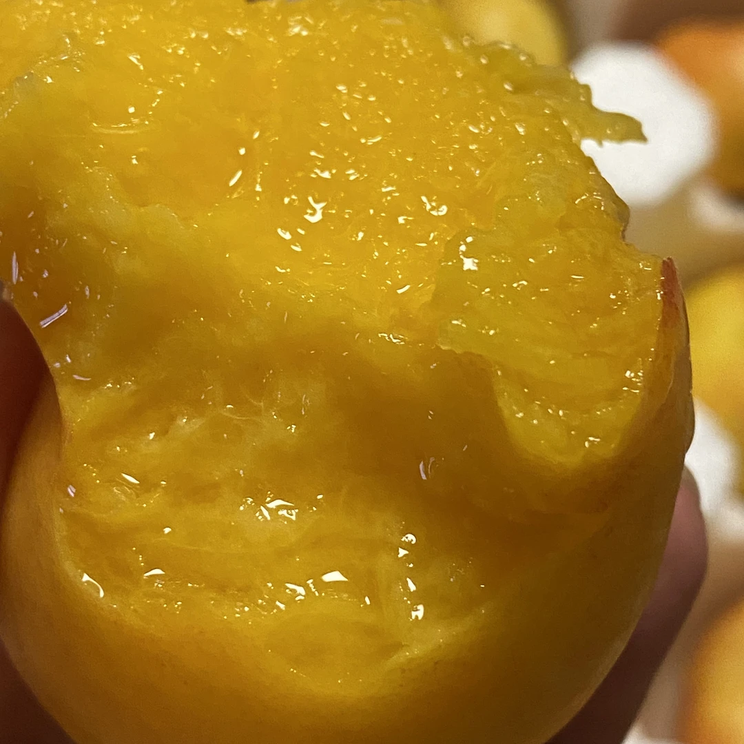 江苏油蟠桃新鲜当季水果脆甜多汁产地直发