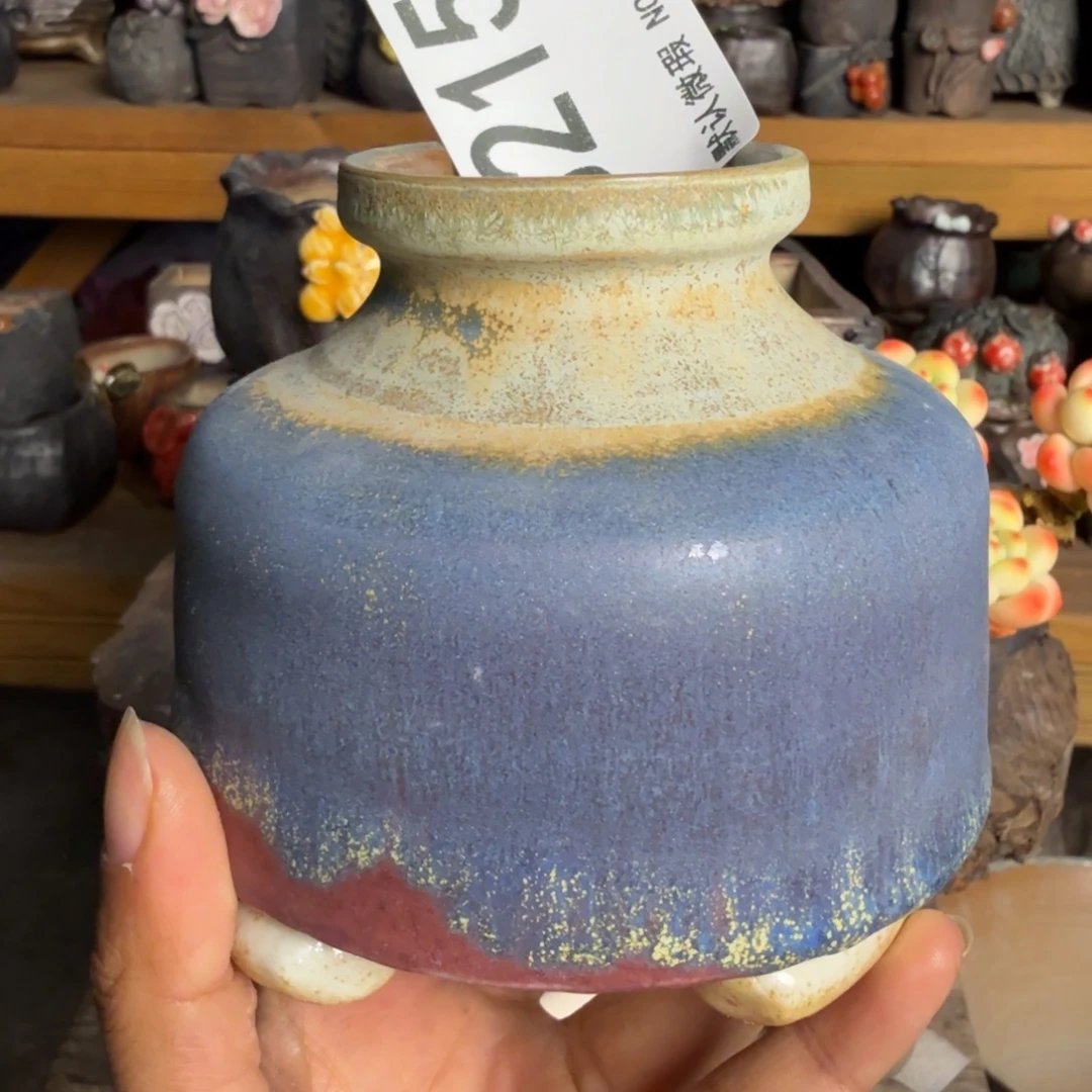 重庆小燕子欢迎大家215