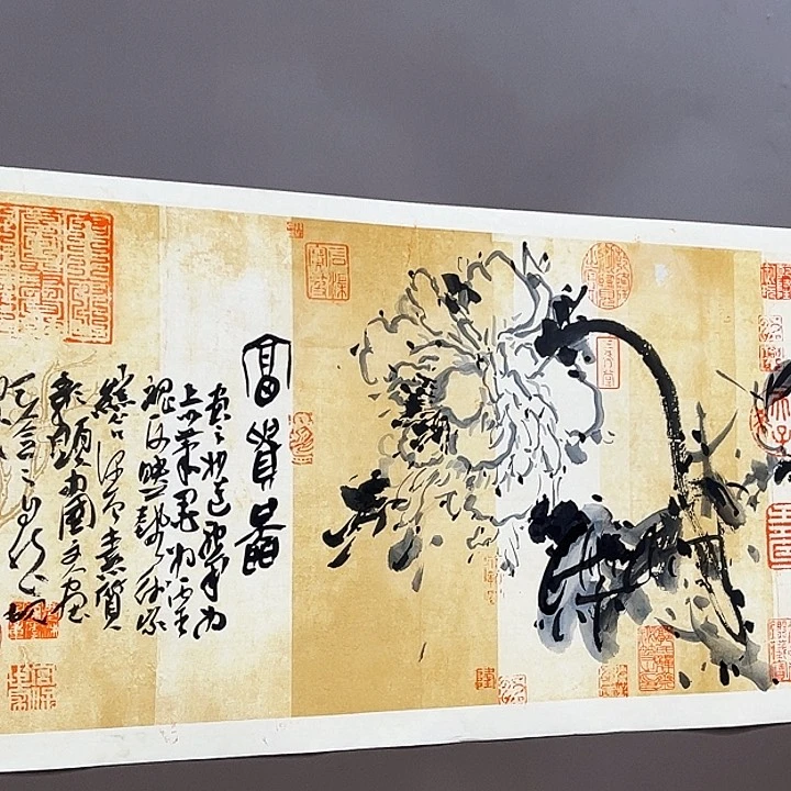 国画55555555555555555555555