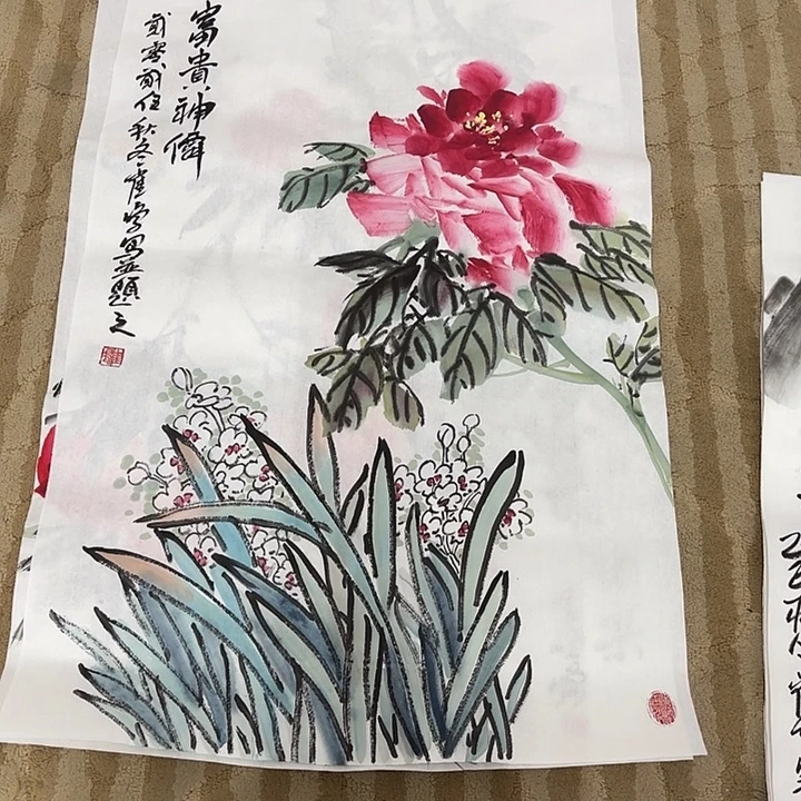 国画花鸟的翅膀和翅膀都