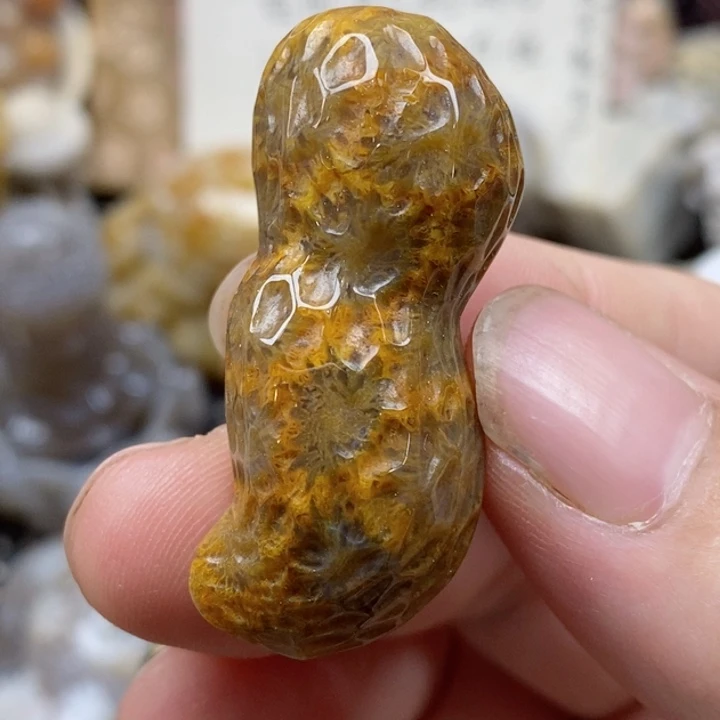 颈饰未镶嵌硅化珊瑚（珊瑚玉）小