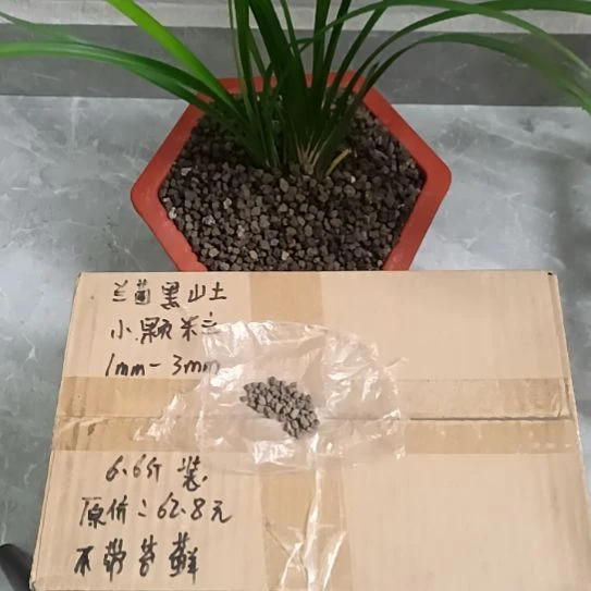 .***雅兰菌黑山土小颗粒6.6斤
