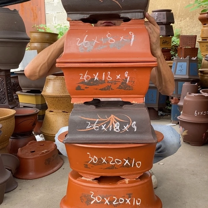 紫砂紫砂紫砂紫砂