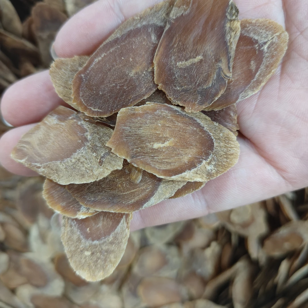 长白山补气红参片