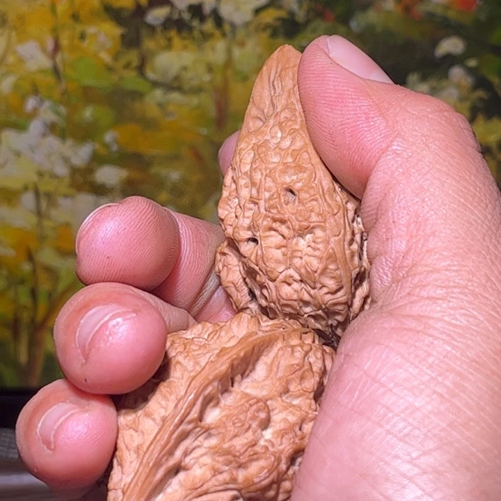 S***J吊坠文玩核桃滇西17