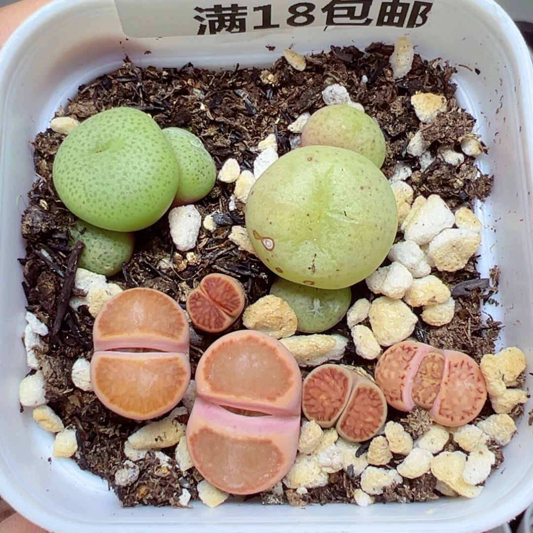 【闪购商品】1657……