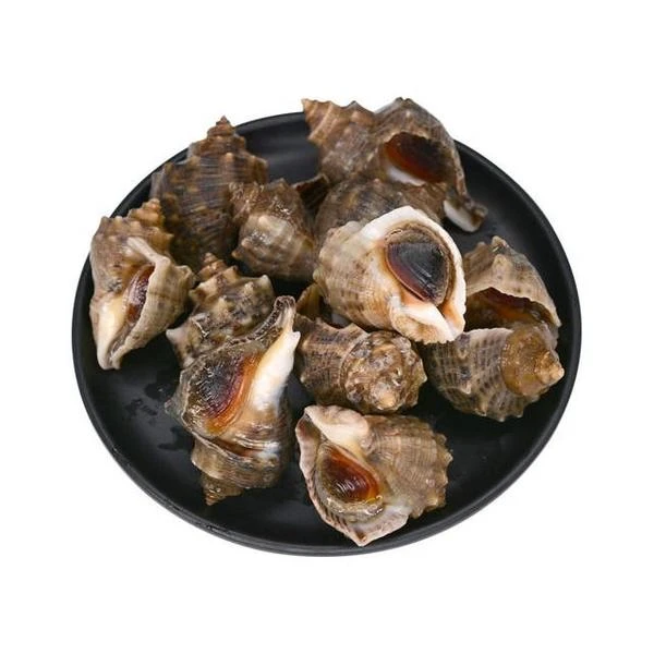 海螺500g.