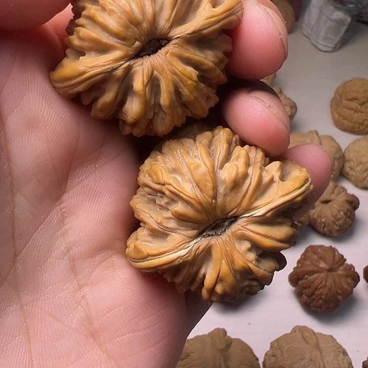 大度楼子里一首唱了十