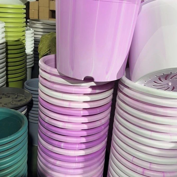 串色9#口径46紫色4个无托