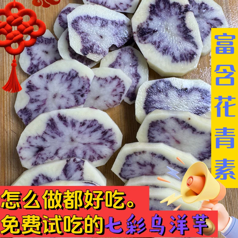 贵州高山转心乌洋芋紫土豆马铃薯富含花青素七彩土豆农家肥种植