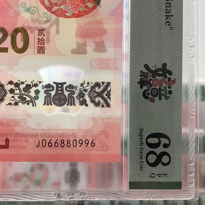 塑料圆圆号，三对子，0996